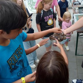 538556759_2535862773463459_4281824776985975730_n