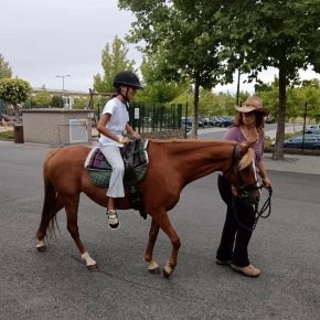 540278354_1288151562846455_3808995340672918595_n