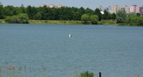 IMGP0325